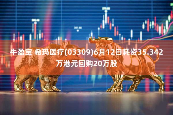 牛盈宝 希玛医疗(03309)6月12日耗资35.342万港元回购20万股