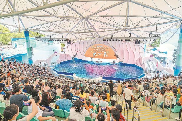 配资猫 长假8天广东揽客6517.6万人次 多元体验满足游客需求